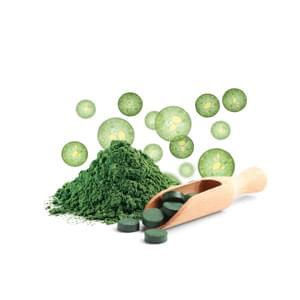 MycoMedica Organic/Bio Chlorella Tablets 250mg