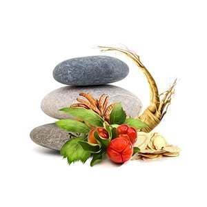 MycoMedica MycoBalance 90 Capsules