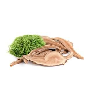 MycoMedica MycoDetox 120 Capsules