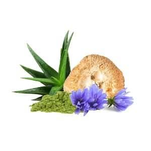 MycoMedica MycoGastro Powder Mix 90g