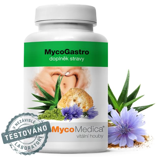 MycoMedica MycoGastro Powder Mix 90g