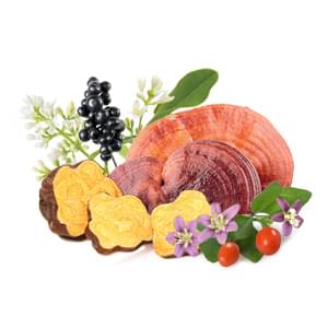 MycoMedica MycoHair 90 Capsules