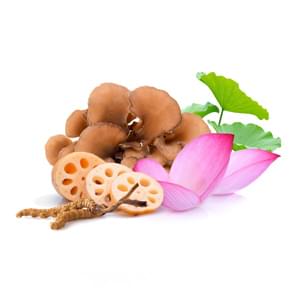 MycoMedica MycoSlim 90 Capsules
