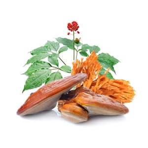 MycoMedica Ginseng 2x90 Capsules