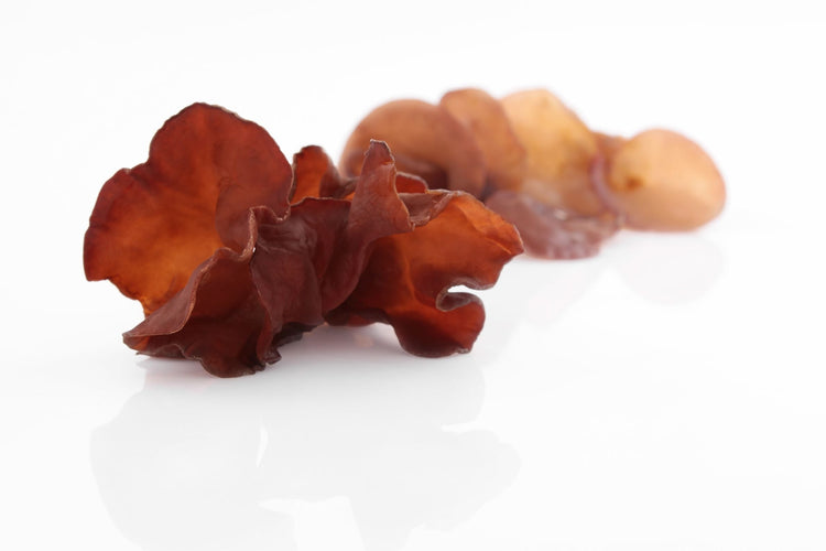 Auricularia