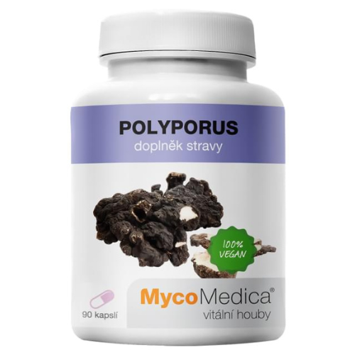 MycoMedica Polyporus 90 Capsules