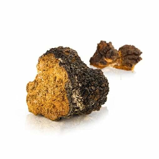 MycoMedica Chaga 50% 90 Capsules