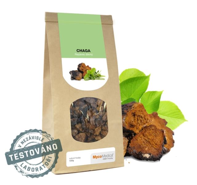 MycoMedica Chaga Dry 100 g