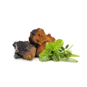 MycoMedica Chaga Dry 100 g