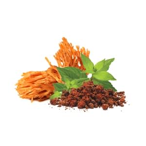 Mycomedica Cordyceps Organic/Bio Powder 100g