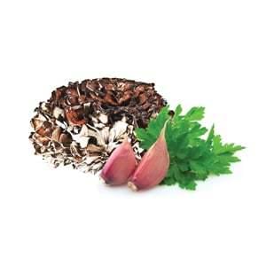 MycoMedica Maitake Dry 100 g