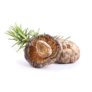 MycoMedica Shiitake Dry 100 g