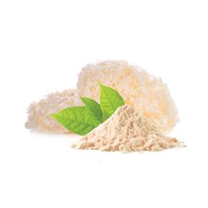 Mycomedica Tremella Organic/Bio Powder 100g